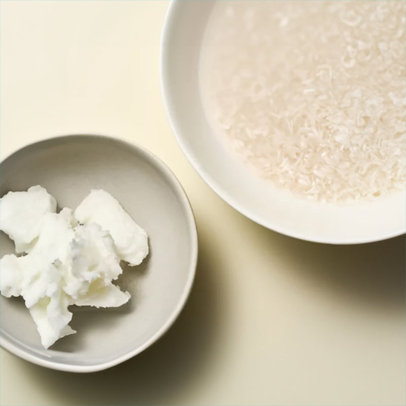 Authentic Beauty Concept Replenish Serie Inhaltstoffe Reisprotein und Sheabutter